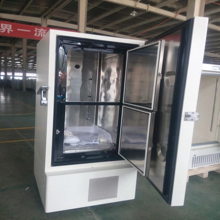 -60 Lab Upright Deep Freezer -60 Lab Upright Deep Freezer